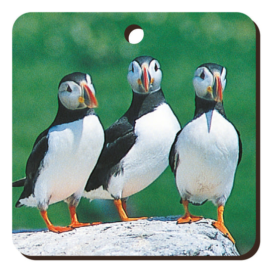 Puffins Wooden Keyring | Great Stuff from Cardtoons