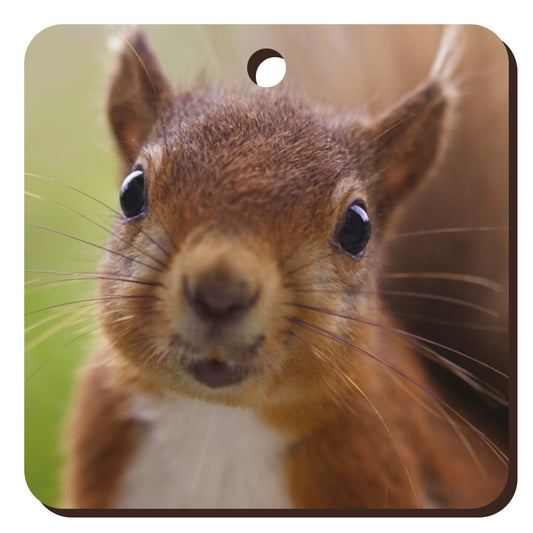 Red Squirrel Wooden Keyring | Great Stuff from Cardtoons