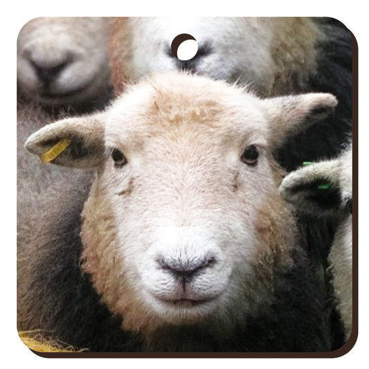 Herdwick Sheep Wooden Keyring | Great Stuff from Cardtoons