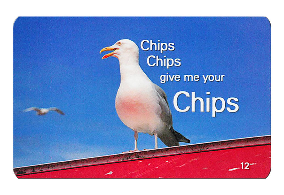 Chips Chips flexible fridge magnet | Cardtoons