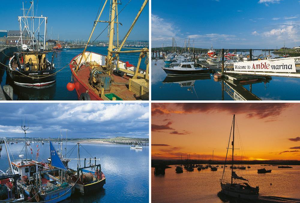 Amble Harbour & Marina Postcard | Great Stuff from Cardtoons