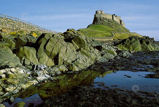 Lindisfarne Castle postcard | Great Stuff from Cardtoons