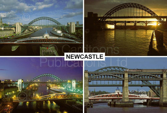 Newcastle upon Tyne postcard | Great Stuff from Cardtoons