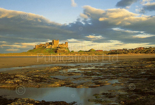Bamburgh Castle Postcard | Great Stuff from Cardtoons