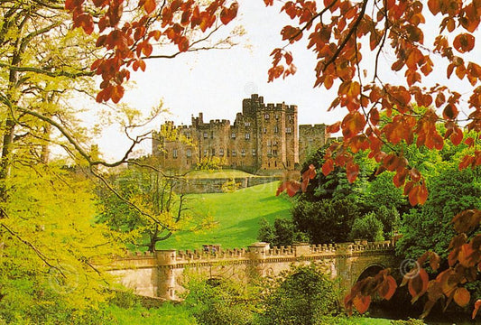 Alnwick Castle & Lion Bridge Postcard | Great Stuff from Cardtoons