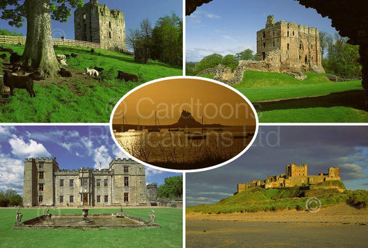 Castles of Northumberland postcard | Great Stuff from Cardtoons