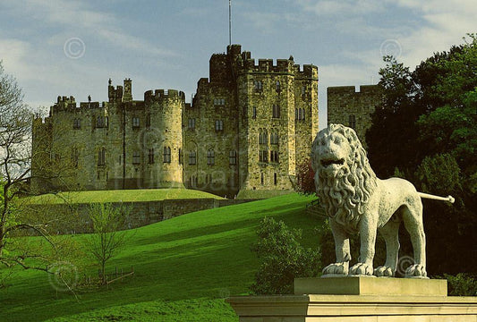 Alnwick Castle & Percy Lion Postcard | Great Stuff from Cardtoons