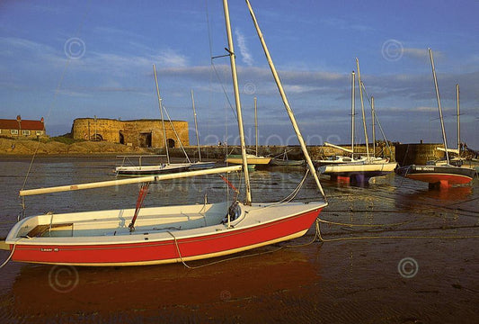 Beadnell Harbour and Limekilns postcard | Great Stuff from Cardtoons