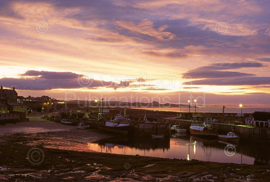 Seahouses Harbour at dusk postcard | Great Stuff from Cardtoons