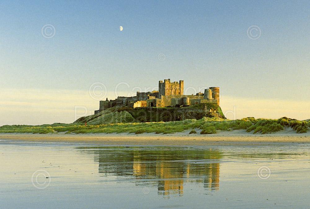 Bamburgh Castle Postcard | Great Stuff from Cardtoons