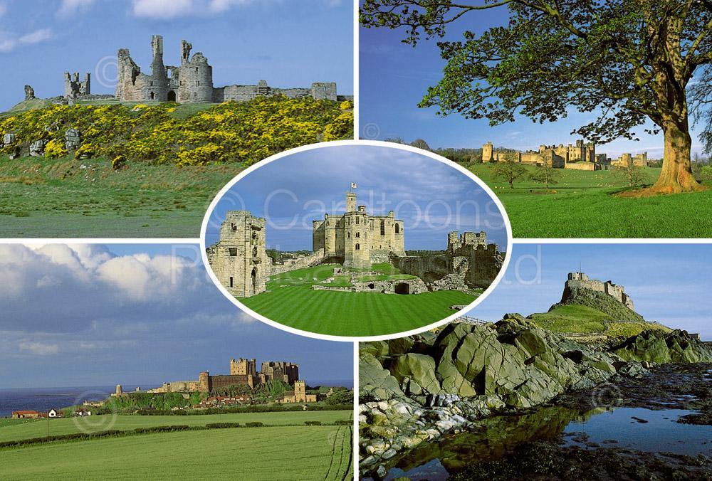 Castles of Northumberland postcard | Great Stuff from Cardtoons