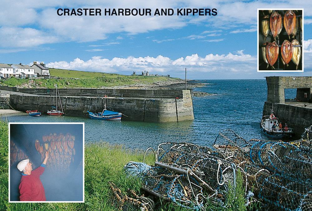 Craster Harbour and kippers postcard | Great Stuff from Cardtoons