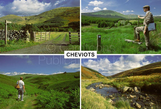 Cheviots postcard | Great Stuff from Cardtoons