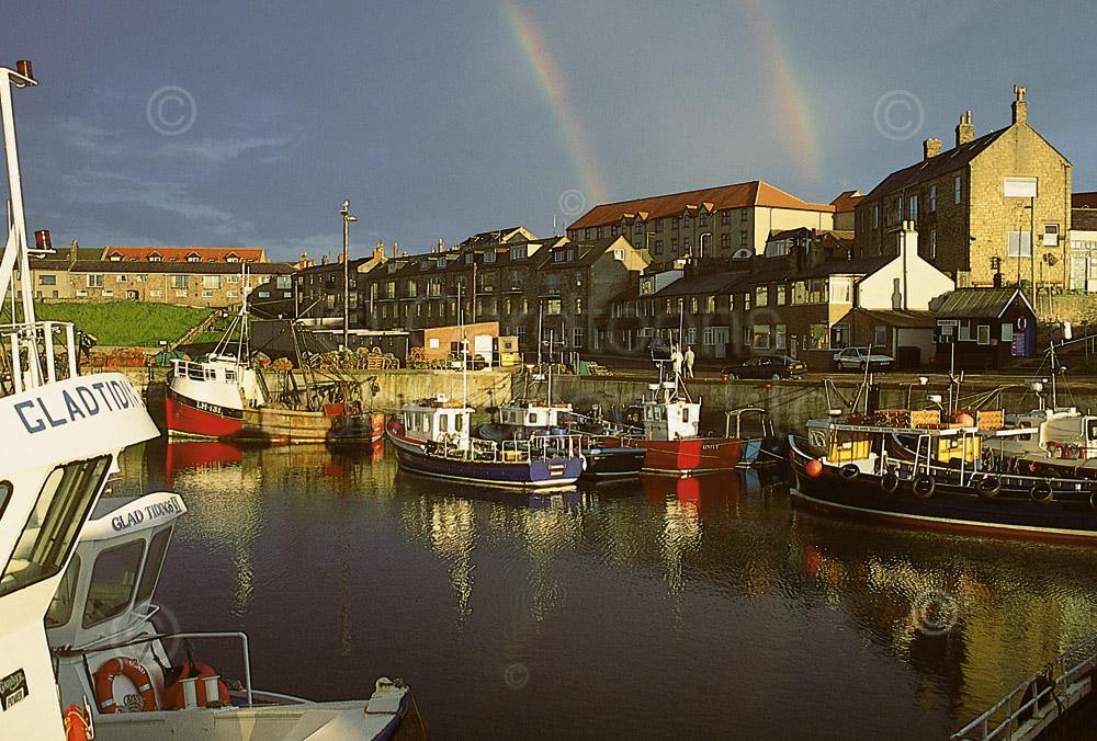 Seahouses Harbour with rainbows postcard | Great Stuff from Cardtoons