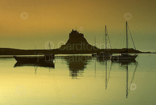 Lindisfarne Castle at dawn postcard | Great Stuff from Cardtoons