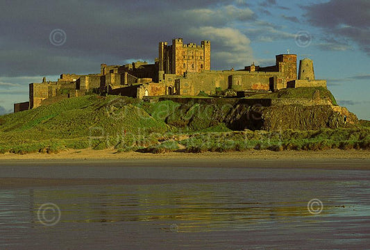 Bamburgh Castle Postcard | Great Stuff from Cardtoons