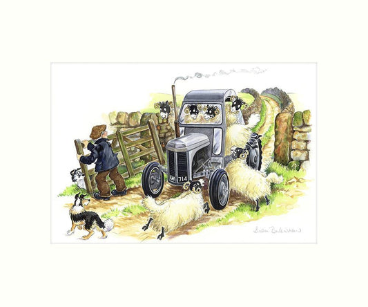 "Sheep Driving" Art Print | Great Stuff from Cardtoons