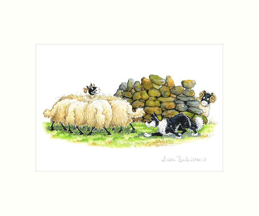 "Sheep Scrum" Art Print | Great Stuff from Cardtoons