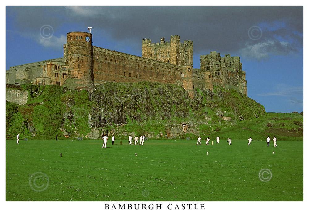 Bamburgh Castle Postcard | Great Stuff from Cardtoons