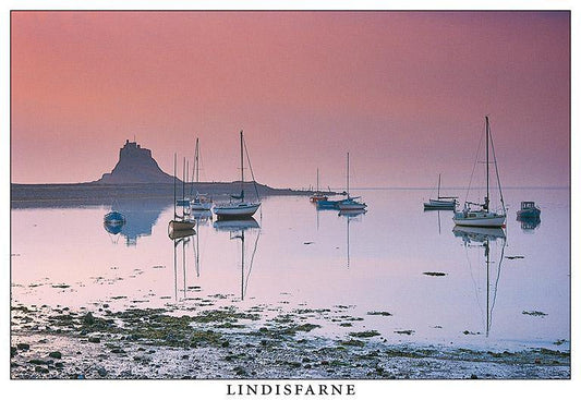 Lindisfarne Castle and harbour at dawn postcard | Great Stuff from Cardtoons