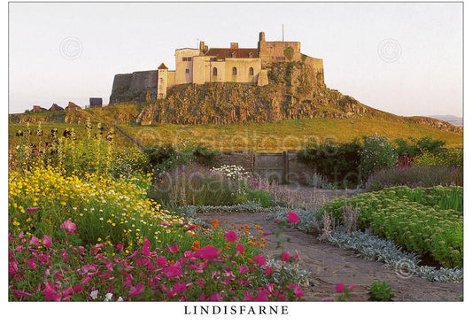 Lindisfarne Castle postcard | Great Stuff from Cardtoons