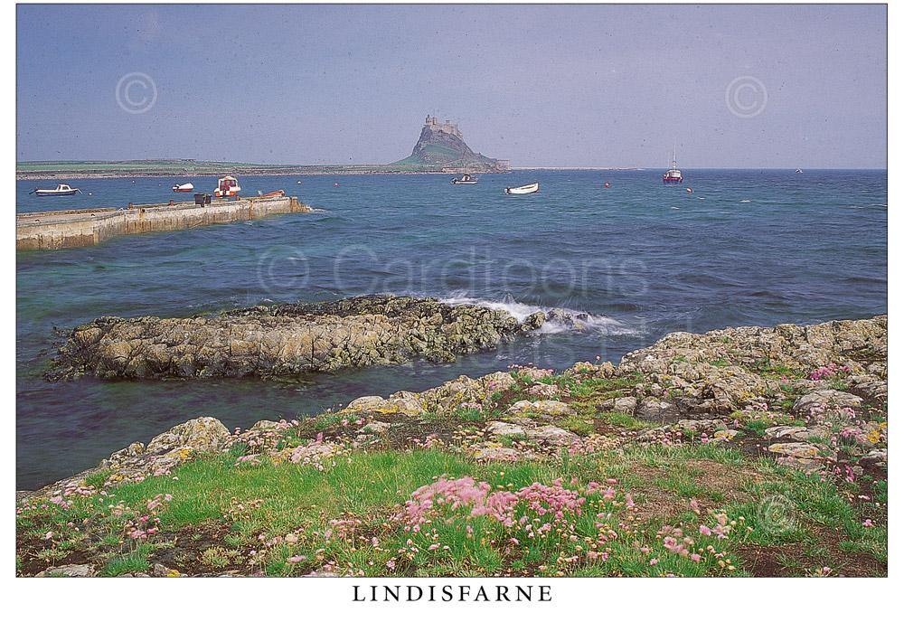 Lindisfarne Harbour and Castle postcard | Great Stuff from Cardtoons