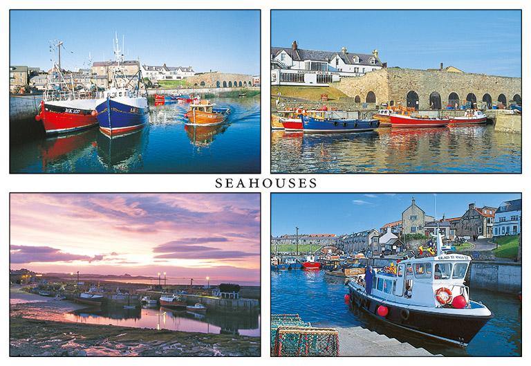 Seahouses postcard | Great Stuff from Cardtoons