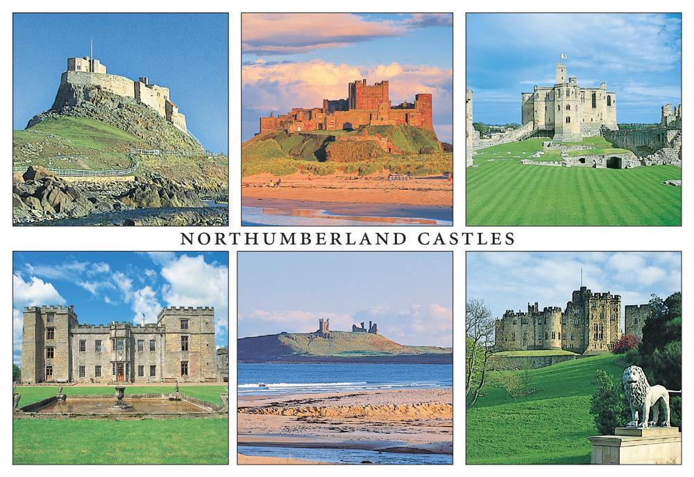 Northumberland Castles postcard | Great Stuff from Cardtoons