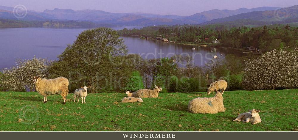 Windermere postcard | Great Stuff from Cardtoons