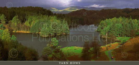 Tarn How postcard | Great Stuff from Cardtoons