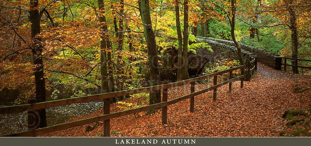 Lakeland Autumn postcard | Great Stuff from Cardtoons