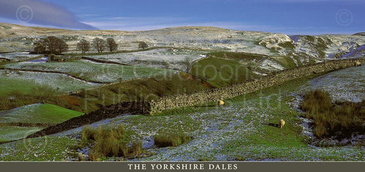 The Yorkshire Dales postcard | Great Stuff from Cardtoons