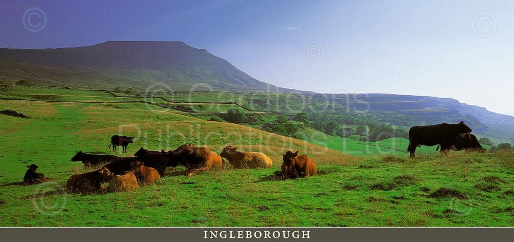 Ingleborough postcard | Great Stuff from Cardtoons