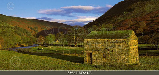 Swaledale postcard | Great Stuff from Cardtoons