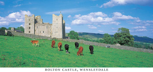 Castle Bolton postcard | Great Stuff from Cardtoons