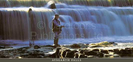 Aysgarth Falls Postcard | Great Stuff from Cardtoons