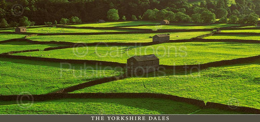 The Yorkshire Dales postcard | Great Stuff from Cardtoons