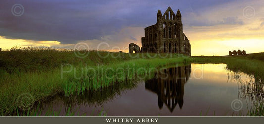 Whitby Abbey postcard | Great Stuff from Cardtoons