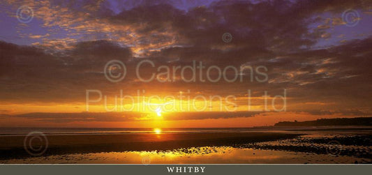Whitby postcard | Great Stuff from Cardtoons