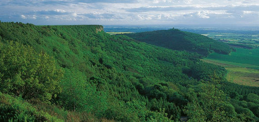 Roulston Scar, North York Moors postcard | Great Stuff from Cardtoons