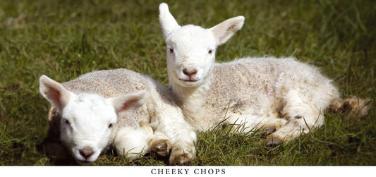 Cheeky Chops postcard | Great Stuff from Cardtoons