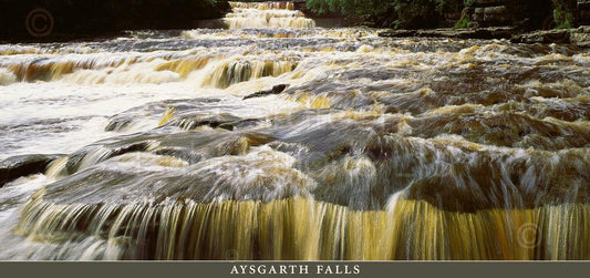 Aysgarth Falls Postcard | Great Stuff from Cardtoons