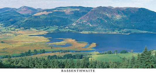 Bassenthwaite postcard | Great Stuff from Cardtoons