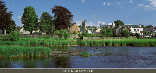 Cockermouth & River Derwent postcard | Great Stuff from Cardtoons