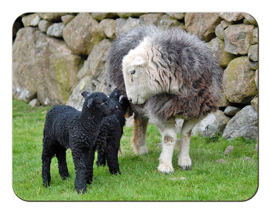 Herdwick Family melamine worktop saver