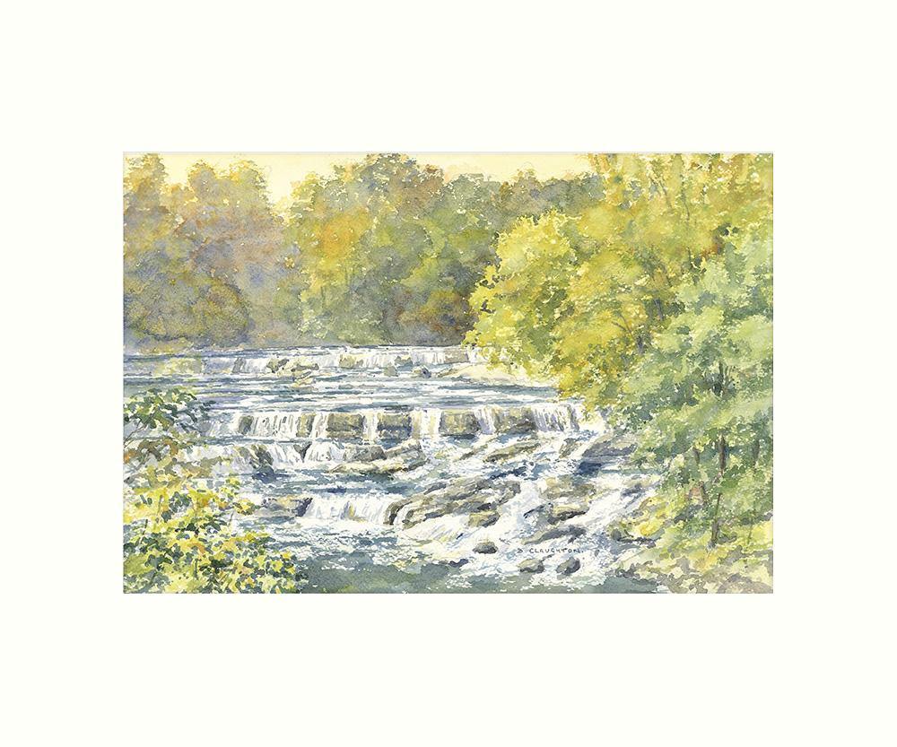 Aysgarth Falls Art Print | Great Stuff from Cardtoons