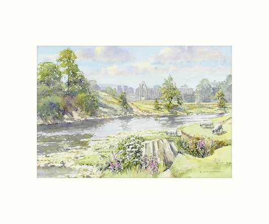 Bolton Priory art print | Great Stuff from Cardtoons